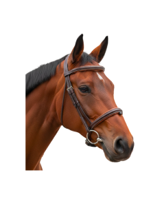 Bridon Canter Vagabond Bombé 1/2 Rond MARRON/NEWMARKET