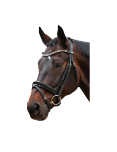 Bridon Canter Valegro NOIR