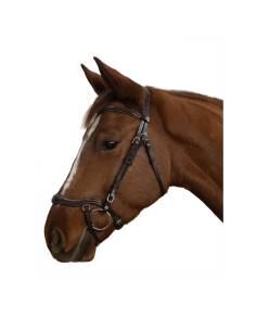 Canter Cayman Anatomical Bridle