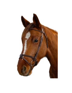 Bridle Flags & Cup Calgary Mus Elastic