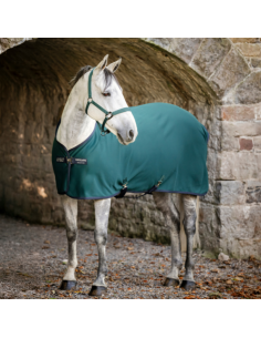 chemise horseware amigo jersey cooler marine/gris/argent 2