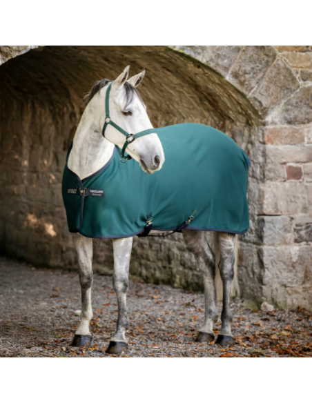 Chemise Séchante Horseware Amigo Jersey VERT DYNASTY/MARINE/ARGENT