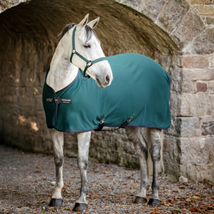 Chemise Séchante Horseware Amigo Jersey VERT DYNASTY/MARINE/ARGENT
