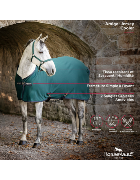 Chemise Séchante Horseware Amigo Jersey VERT DYNASTY/MARINE/ARGENT