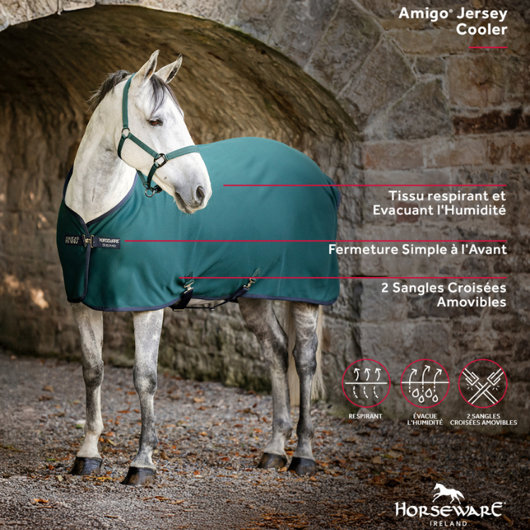 Chemise Séchante Horseware Amigo Jersey VERT DYNASTY/MARINE/ARGENT
