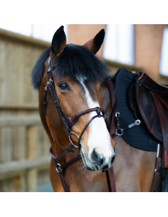 Bridon Jump'In Evolution Muserolle Combinée Cuir Corde HAVANE 2