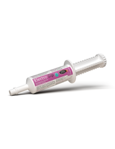 Electro-Zip syringe Horse Master