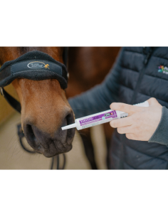 Electro-Zip syringe Horse Master 2