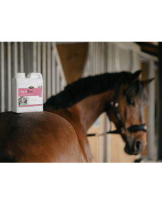 Equidiur Horse Master 1L 2
