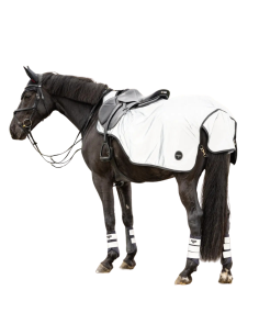 LeMieux Reflective Exercise Rug