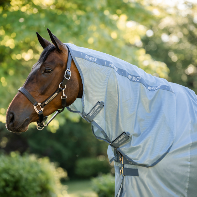 Chemise Anti-Mouches Horseware Amigo Intégrale HEATHER BLUE/BLEU/ARGENT