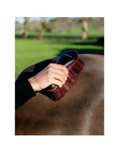 LeMieux Soft Brush 2