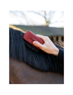 Brosse A Crins LeMieux ROUGE 2