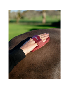 LeMieux Rubber Grooming Brush 2