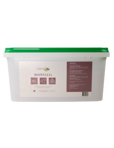 Boswellia Ungula