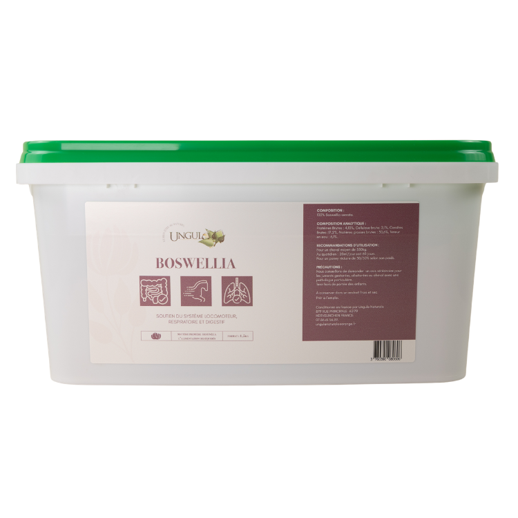 Boswellia Ungula