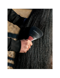 Brosse A Crins LeMieux NOIR 2