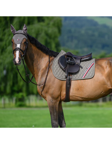 Tapis De Selle Tommy Equestrian Stanford Jumping ASH