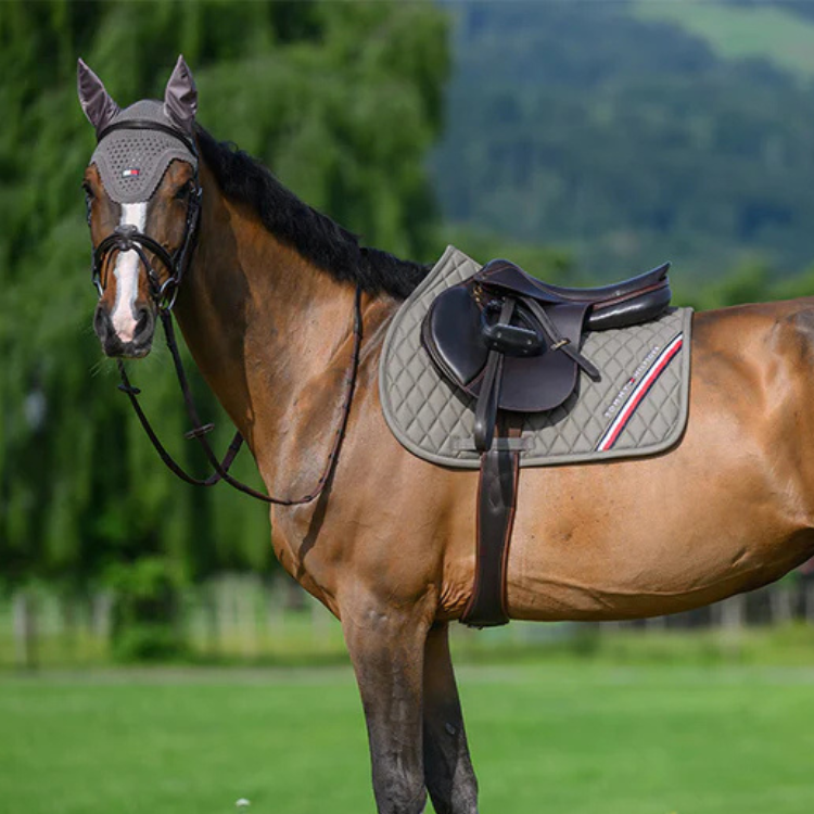 Tapis De Selle Tommy Equestrian Stanford Jumping ASH