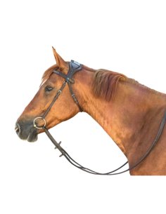 TdeT Essentiel Bridge-Style Bridle Without a Noseband...