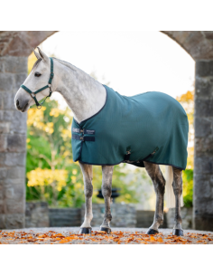 Horseware Rambo Techni-Waffle Cooler 2