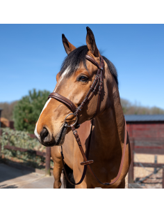 Bridon Canter Plat Doublé Donatello MARRON