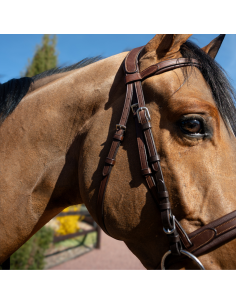 Bridon Canter Plat Doublé Donatello MARRON 2