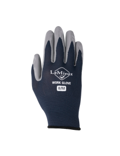 LeMieux Gloves 2