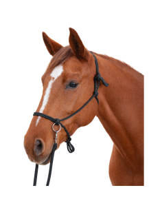 Ethological Halter + Canter Reins