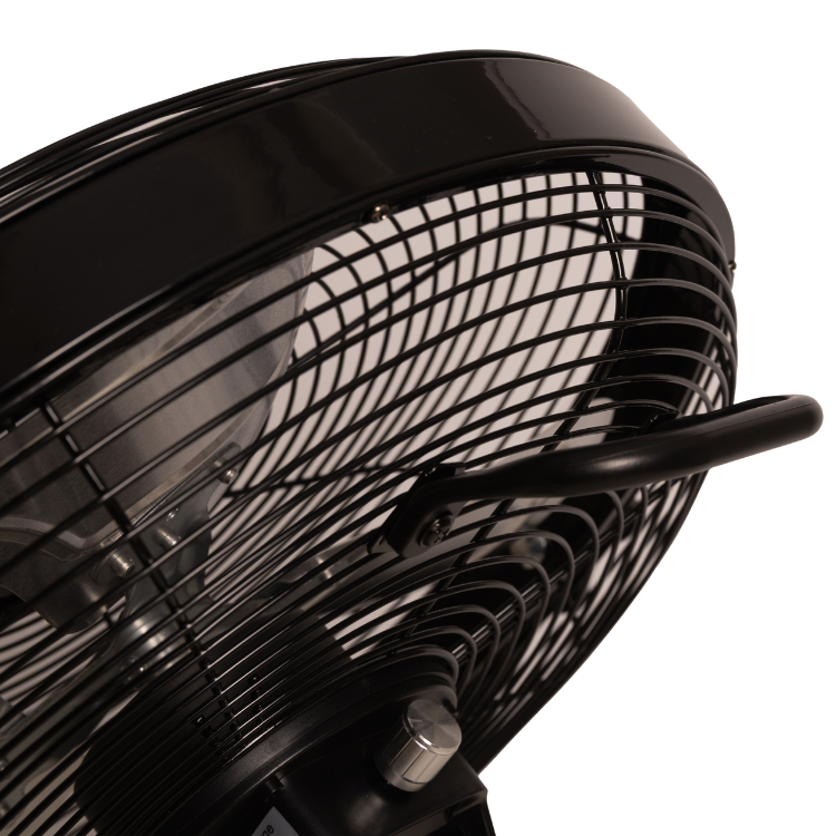 Ventilateur Grooming Deluxe Sans Fil Avec Batterie Et Chargeur NOIR