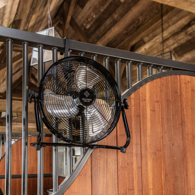 Ventilateur Grooming Deluxe Sans Fil Avec Batterie Et Chargeur NOIR