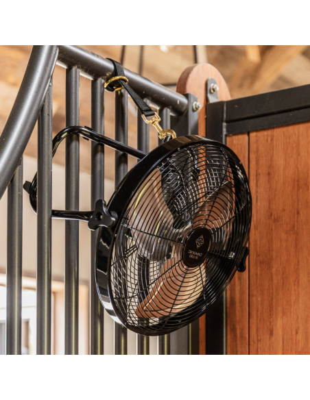 Ventilateur Grooming Deluxe Sans Fil Avec Batterie Et Chargeur NOIR