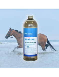 Natural'Innov Seawater Electrolytes 2