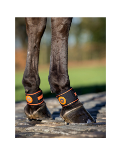 LeMieux Magno Fetlock Boots 2