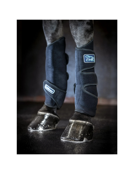 Guêtres LeMieux Tendon Chill