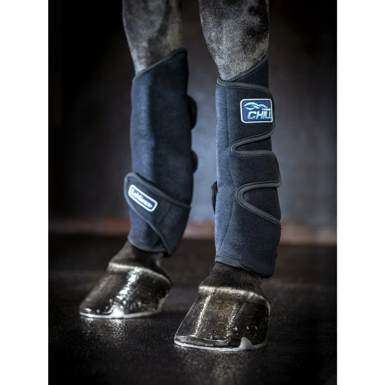 Guêtres LeMieux Tendon Chill