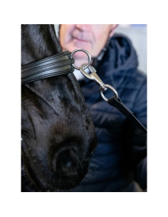 LeMieux Versatile Leather Halter 2