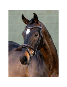 Bridon LeMieux Arika Flash MARRON/ARGENT
