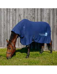 Equithème Cool&dry Combo Fresh Cooling Rug