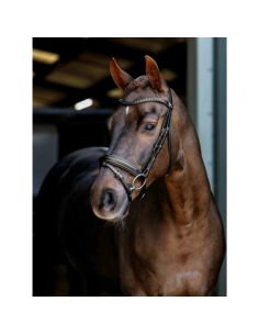 Bridon LeMieux Arika Dressage NOIR
