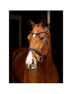 Bridon LeMieux Arika Dressage NOIR 2