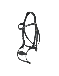 LeMieux Arika Anatomic Bridle with Adjustable Noseband