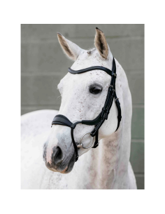 LeMieux Arika Anatomic Bridle with Adjustable Noseband 2