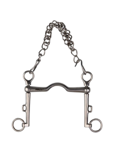 Metalab Pump-Style Bridle Bits with Tongue Slot