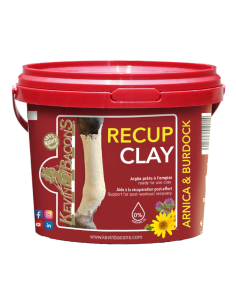 Argile Récupération Kevin Bacon's Recup Clay
