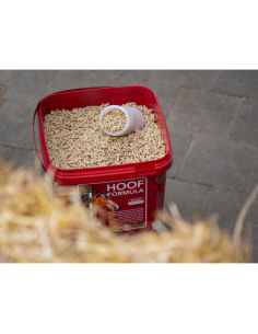 Kevin Bacon's Hoof Formula Supplement 2