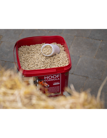 Complément Kevin Bacon's Hoof Formula 5kg