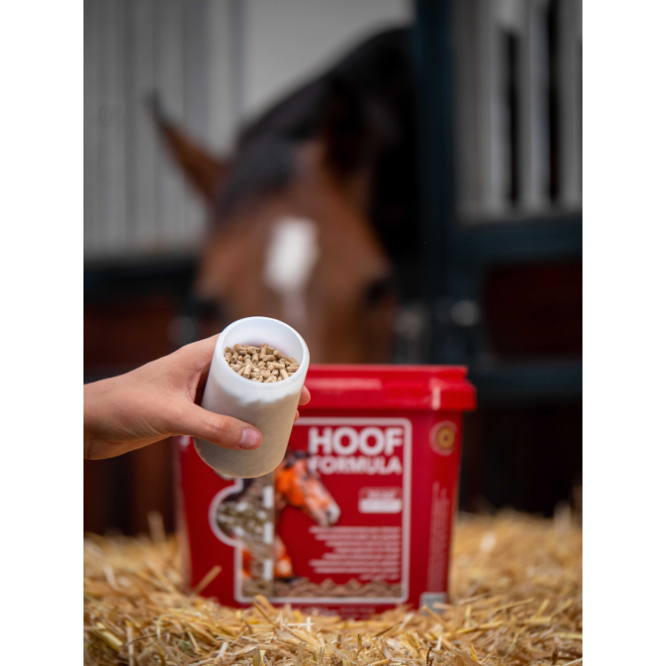 Complément Kevin Bacon's Hoof Formula 5kg