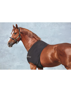 Portection d'épaules Horseware Slinky
