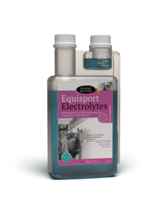 Electrolytes Horse Master Equisport 1L